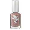 543 Sweet Sultan vegan nail polish